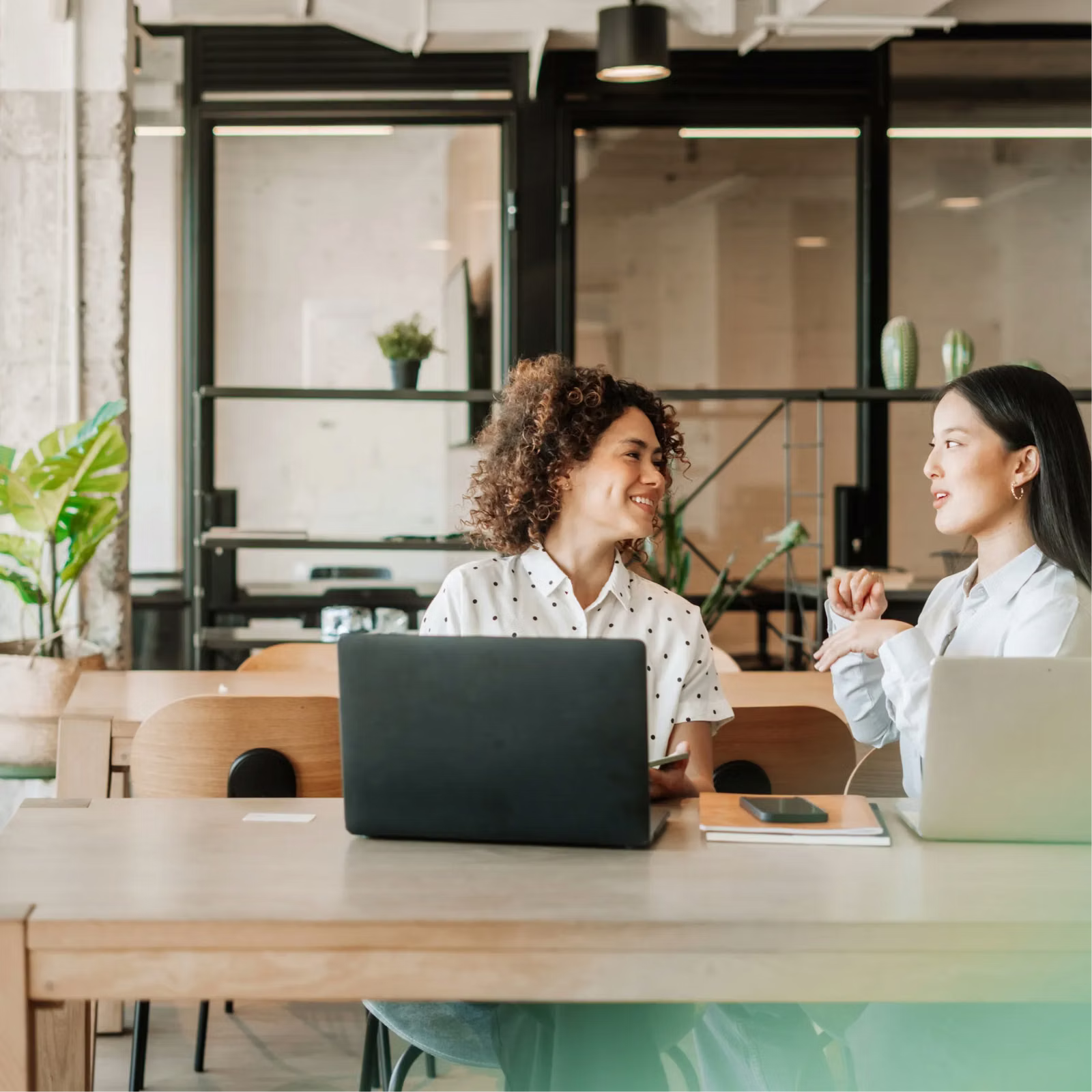 BILL gallery image 2