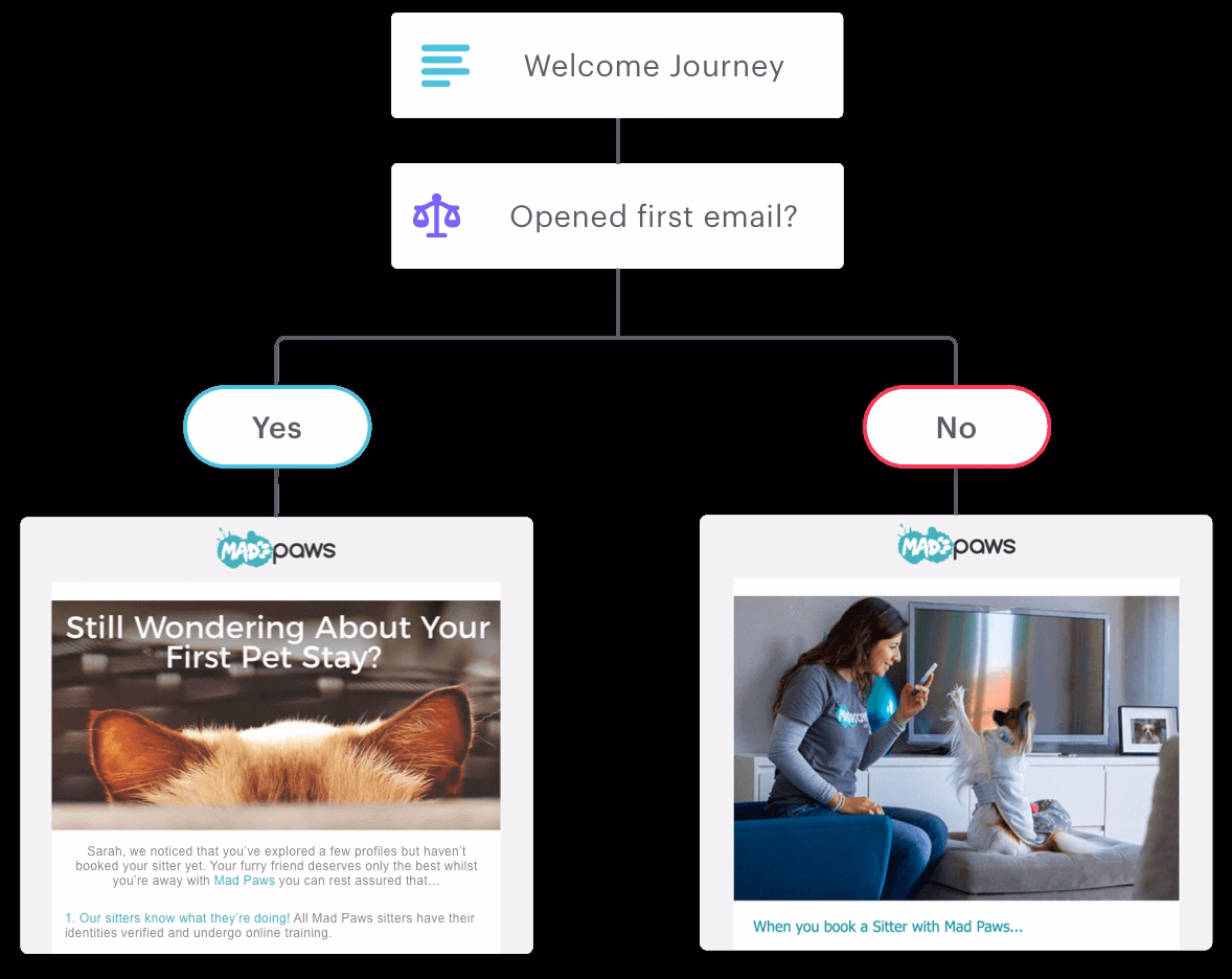 Campaign Monitor gallery image 2