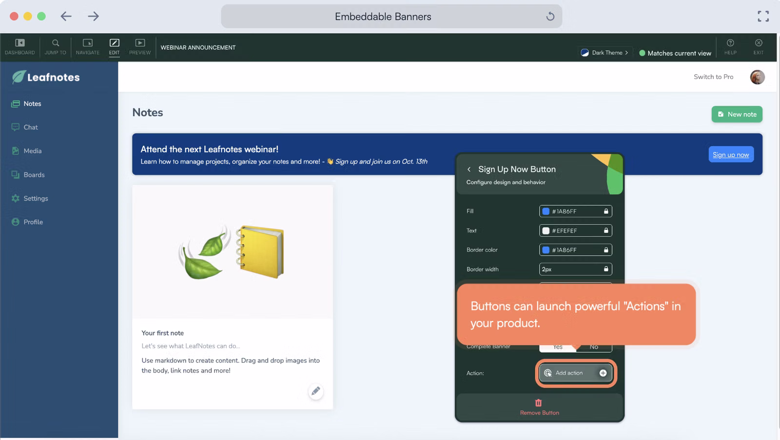 Chameleon gallery image 5