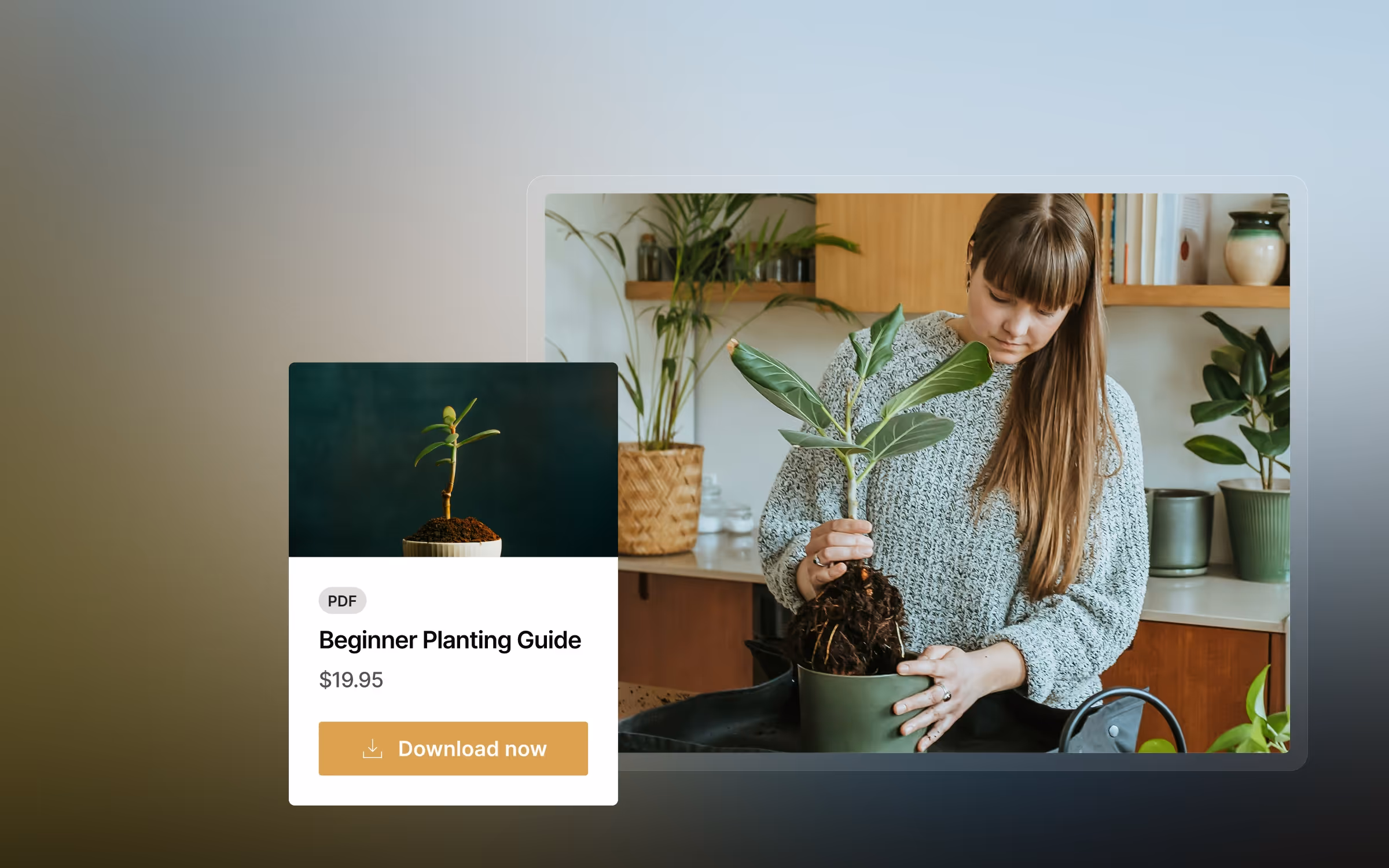 Kajabi gallery image 5