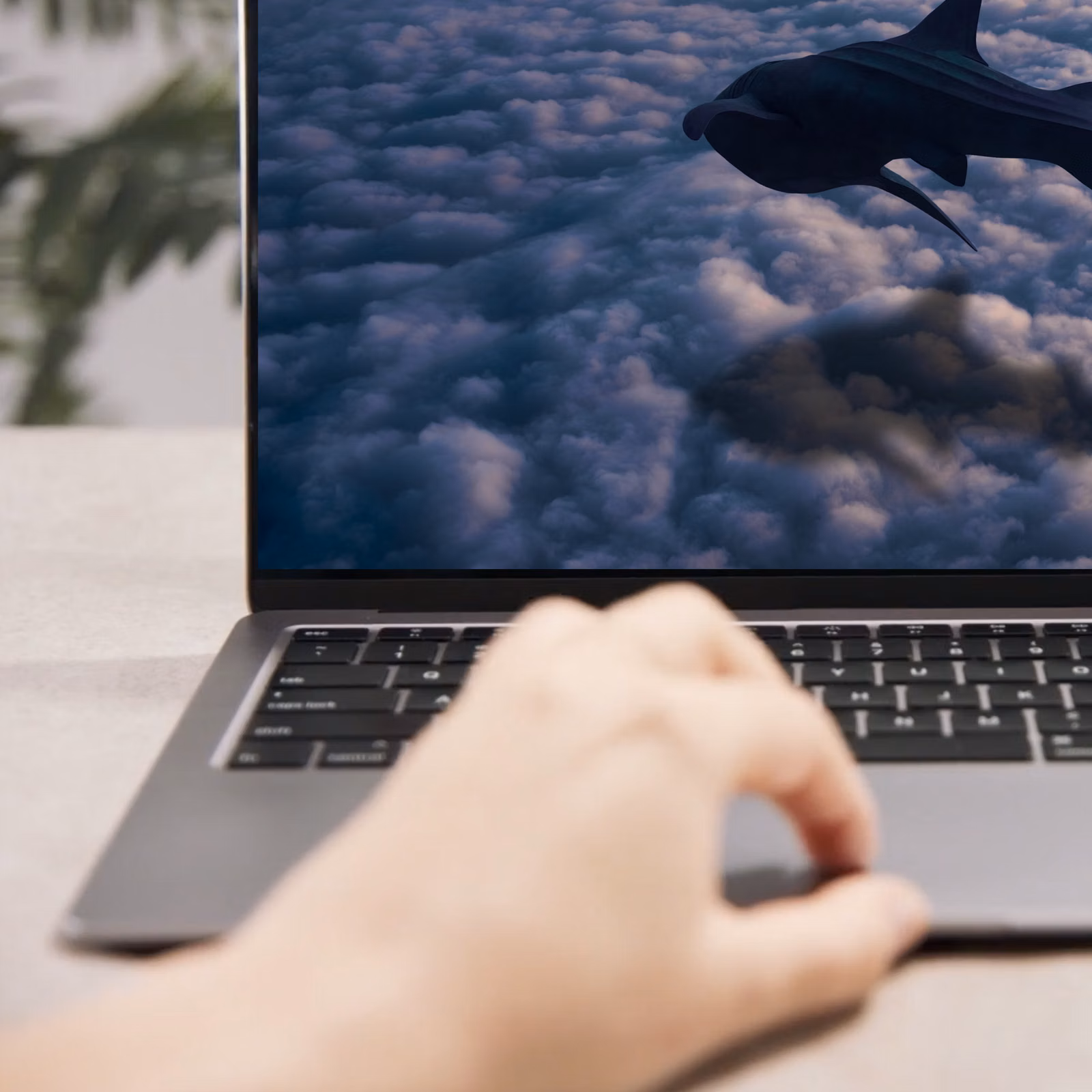 Vimeo gallery image 5